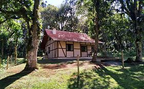 Casa Goethe - Bio Cult Campo Alegre (santa Catarina)